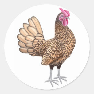 Pegatina Redonda Sebright Bantam Rooster