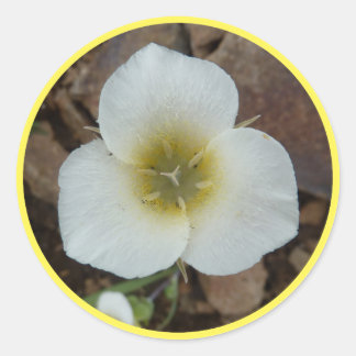 Pegatina Redonda Sego Lily