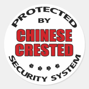 Pegatina Redonda Seguridad de perros en prisión en China