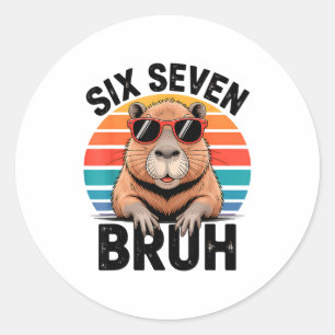 Pegatina Redonda Seis Siete Bruh 6 7 Meme Divertido Capybara 6 7