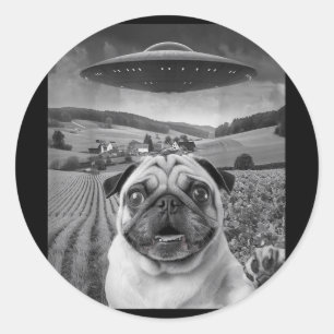 Pegatina Redonda Selfie De Pug Con Alien Ufo Gracioso Regalos De Pu