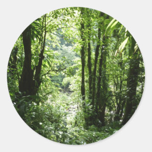 Pegatina Redonda Selva tropical II dominicana de lluvia verde tropi