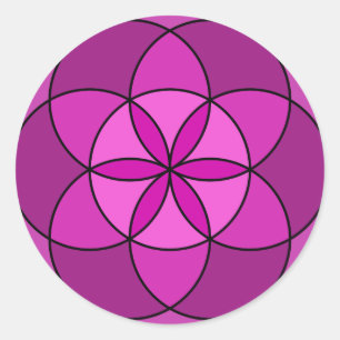 Pegatina Redonda Semilla de la violeta multi de la vida