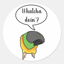 Pegatina Redonda Senegal Parrot Sticker