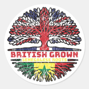 Pegatina Redonda Senegal Senegalés Reino Unido Árbol británico