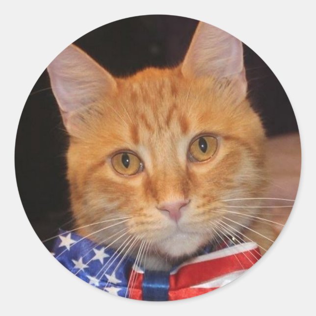 Pegatina Redonda ¡Señor Presidente ama a los Pegatinas! (Anverso)