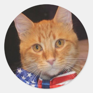 Pegatina Redonda ¡Señor Presidente ama a los Pegatinas!