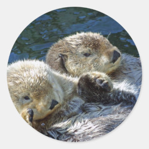 Pegatina Redonda Seo-Otters