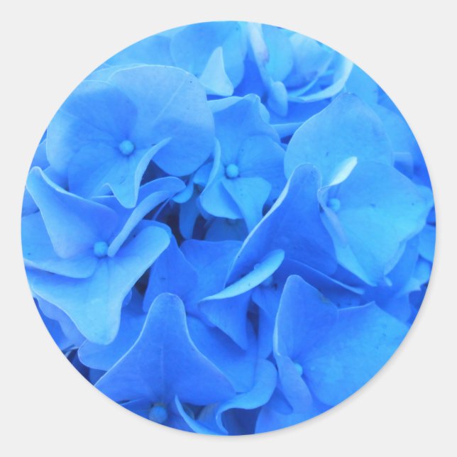 Pegatina Redonda Seraphine (Anverso)