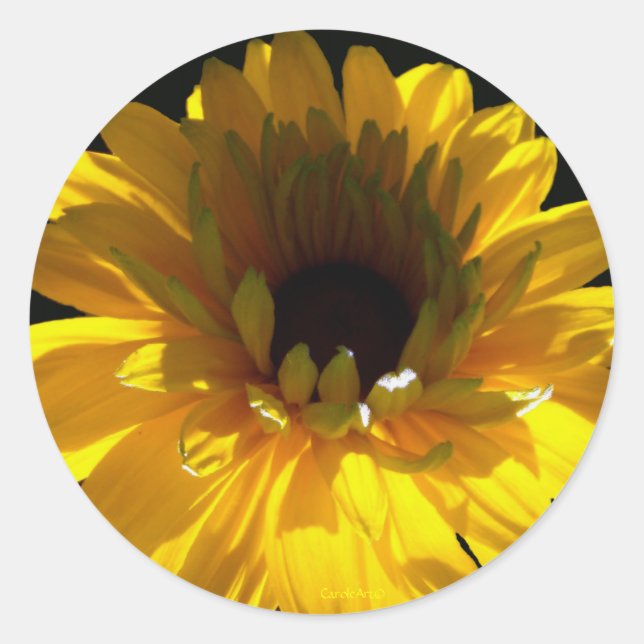 Pegatina Redonda Serene Sunflower (Anverso)