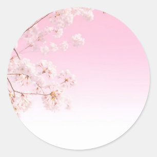 Pegatina Redonda Serenidad de primavera de flor de cerezo rosa