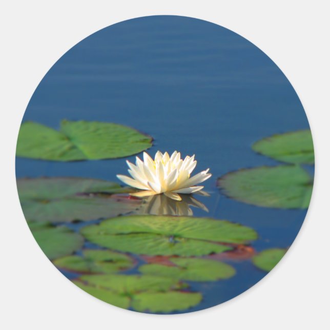 Pegatina Redonda Serenity Water Lily (Anverso)