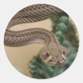 Pegatina Redonda serpiente