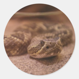 Pegatina Redonda serpiente