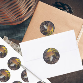 Pegatina Redonda Seta boletina con hojas amarillas