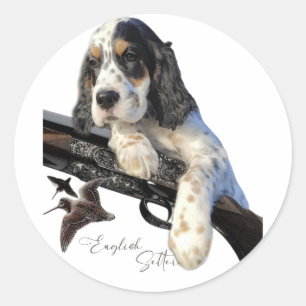 Pegatina Redonda Setter inglés, adorable cachorro