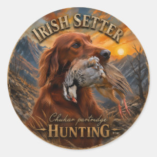 Pegatina Redonda Setter Irlandés con Perdiz Chucar ,Arte