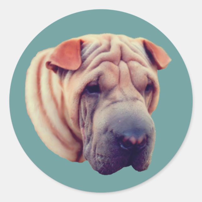 Pegatina Redonda Shar Pei Face Dog (Anverso)