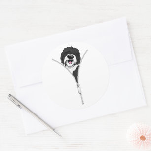 Pegatina Redonda Sheepadoodle Dog Zipper Funny Dueño De Perro Cacho