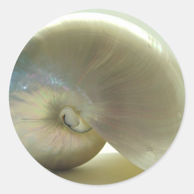 Pegatina Redonda Shell #1 (Anverso)