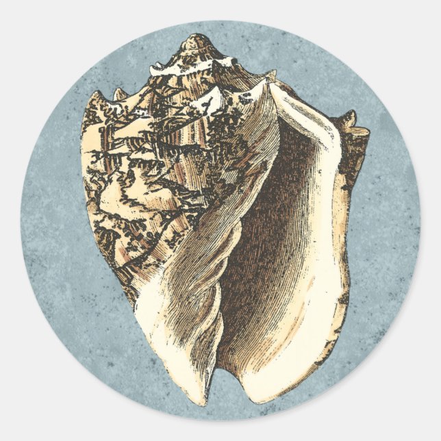 Pegatina Redonda Shell de conchas encalladas (Anverso)