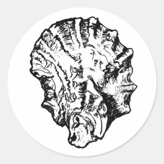 Pegatina Redonda Shell de ostión blanco y negro