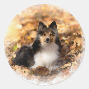 Pegatina Redonda Sheltie Shetland Sheepdog Art Painting