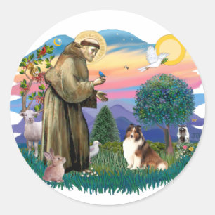 Pegatina Redonda Shetland Sheepdog (sable y blanco)