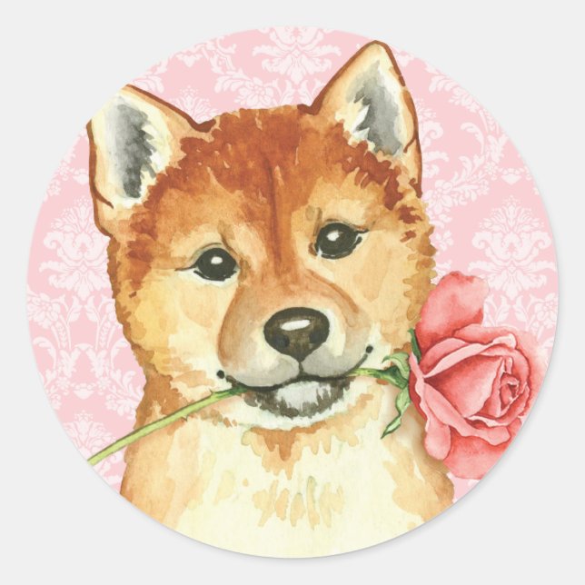 Pegatina Redonda Shiba subió tarjeta del día de San Valentín Inu (Anverso)