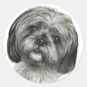 Pegatina Redonda Shih Tzu