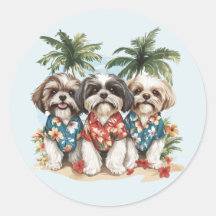 Shih Tzu Dogs con Camisetas hawaianos