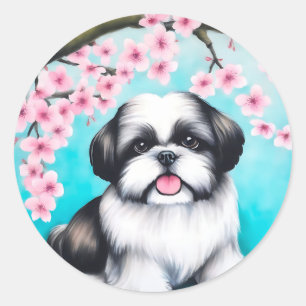 Pegatina Redonda Shih Tzu en flor de cerezo oriental