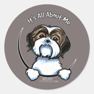 Pegatina Redonda Shih Tzu es todo sobre mí