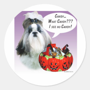 Pegatina Redonda Shih Tzu (groomed) Candy de Halloween