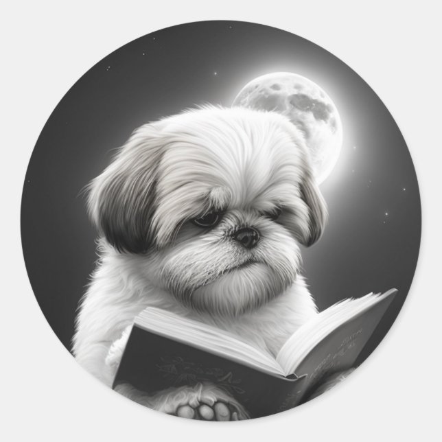 Pegatina Redonda Shih Tzu leyendo un libro (Anverso)