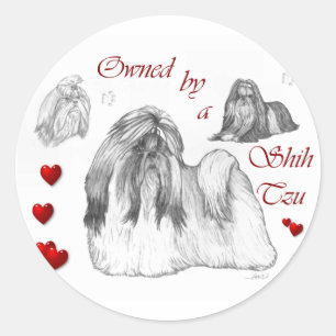 Pegatina Redonda Shih Tzu Lovers Regalos