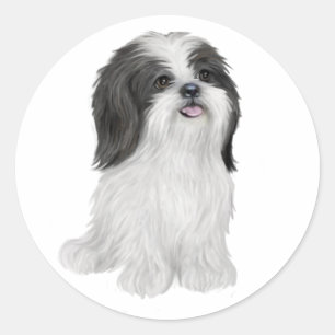 Pegatina Redonda Shih Tzu - negro y blanco (por JF)