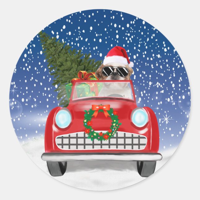 Pegatina Redonda Shih Tzu Perro Conduciendo Auto En Navidades De Ni (Anverso)