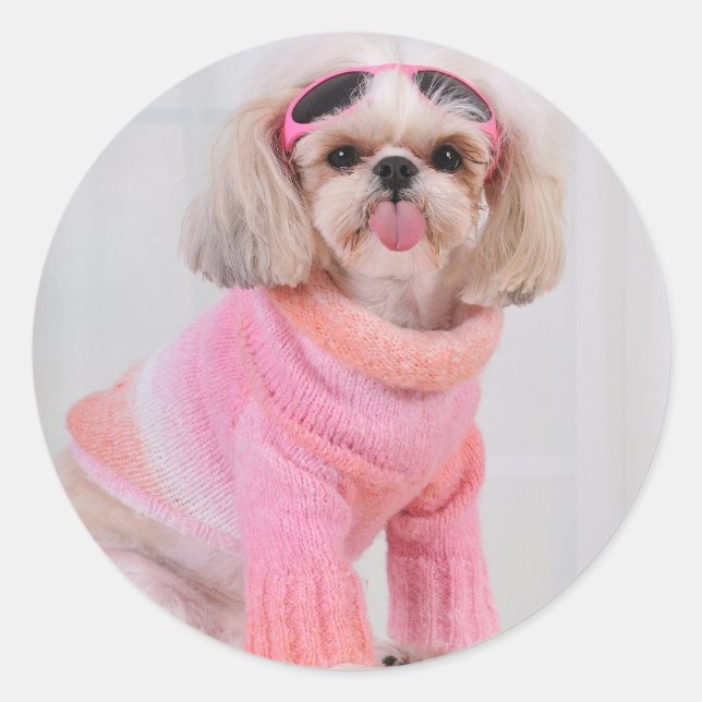 Pegatina Redonda Shih Tzu Puppy - El Razz (Anverso)