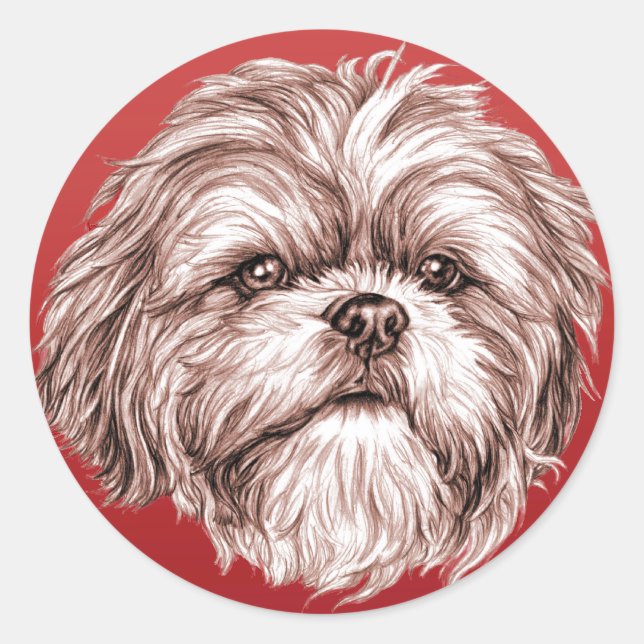 Pegatina Redonda Shih Tzu Sketch (Anverso)