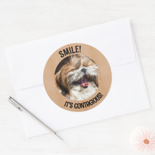 Pegatina Redonda Shihtzu riendo sonrisa es un contagioso texto pers
