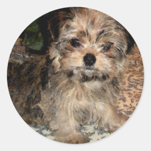 Pegatina Redonda Shorkie Puppy