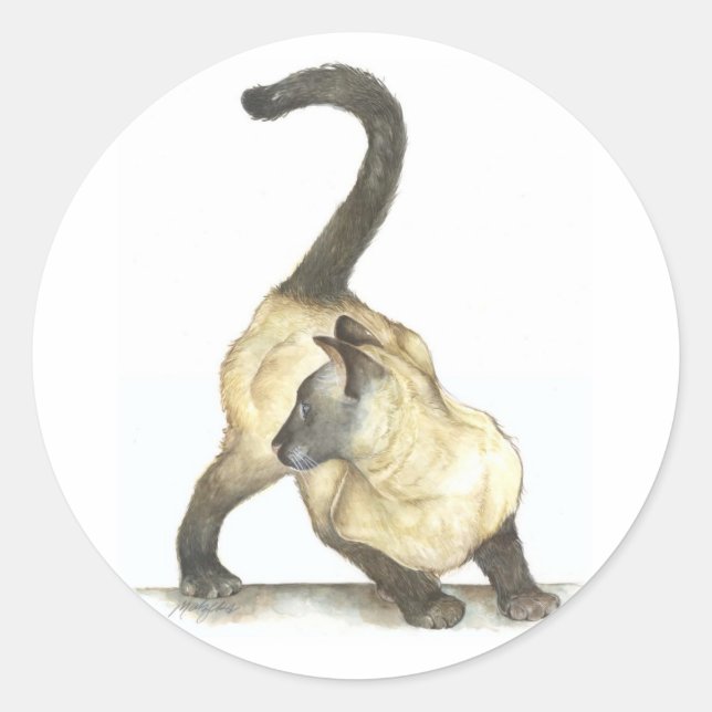 Pegatina Redonda siamés de gatos (Anverso)