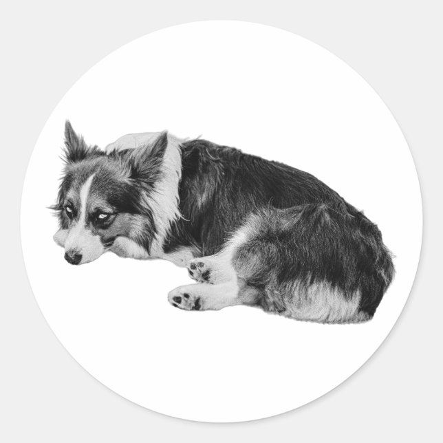Pegatina Redonda Side-Eye Corgi Fun (Anverso)