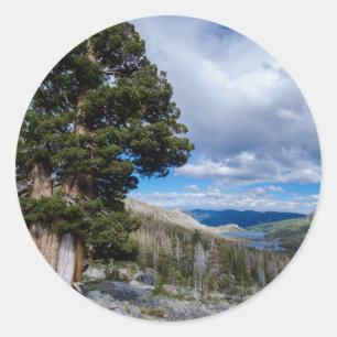 Pegatina Redonda Sierra Juniper y Árboles Eververdes 2
