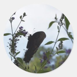 Pegatina Redonda Silhouette Butterfly
