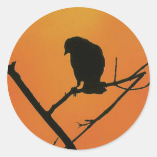 Pegatina Redonda Silhouette Red Wingbird Blackbird en Naranja