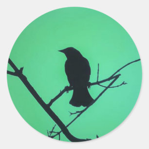 Pegatina Redonda Silhouette Red Wingbird Blackbird en verde