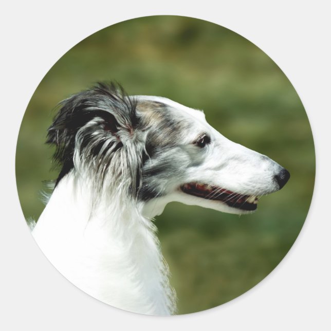 Pegatina Redonda Silken Windhound (Anverso)