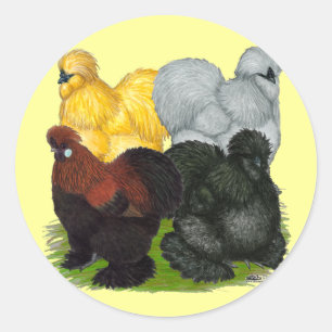 Pegatina Redonda Silkies: Gallos variados
